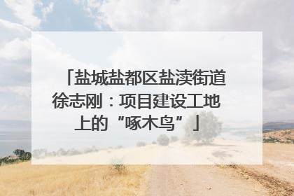 盐城盐都区盐渎街道徐志刚：项目建设工地上的“啄木鸟”